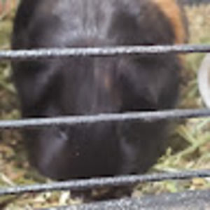 Meet your Posher, Kayla's